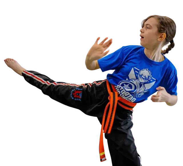 Teen Martial Arts (13+) at Hero Martial Arts Clarksville